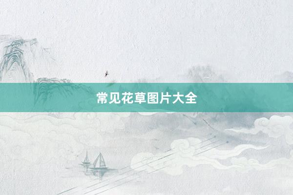 常见花草图片大全