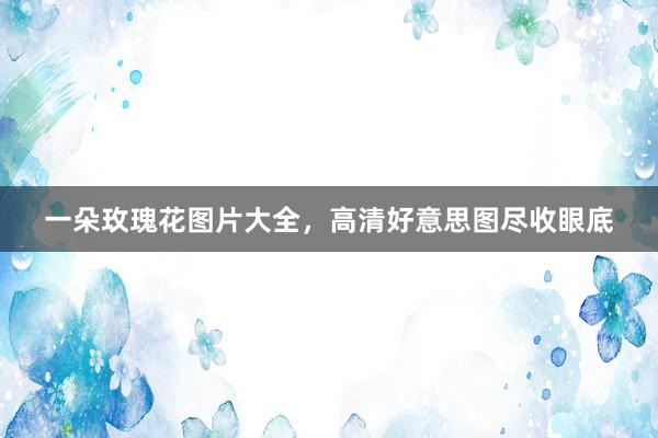 一朵玫瑰花图片大全,高清好意思图尽收眼底