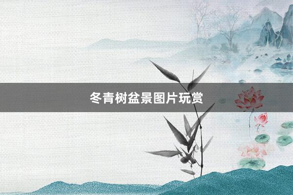 冬青树盆景图片玩赏