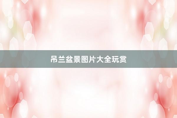 吊兰盆景图片大全玩赏