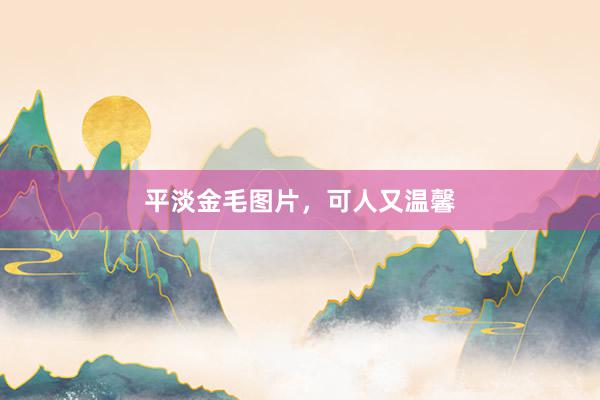 平淡金毛图片,可人又温馨