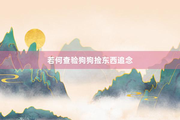 若何查验狗狗捡东西追念