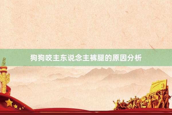 狗狗咬主东说念主裤腿的原因分析